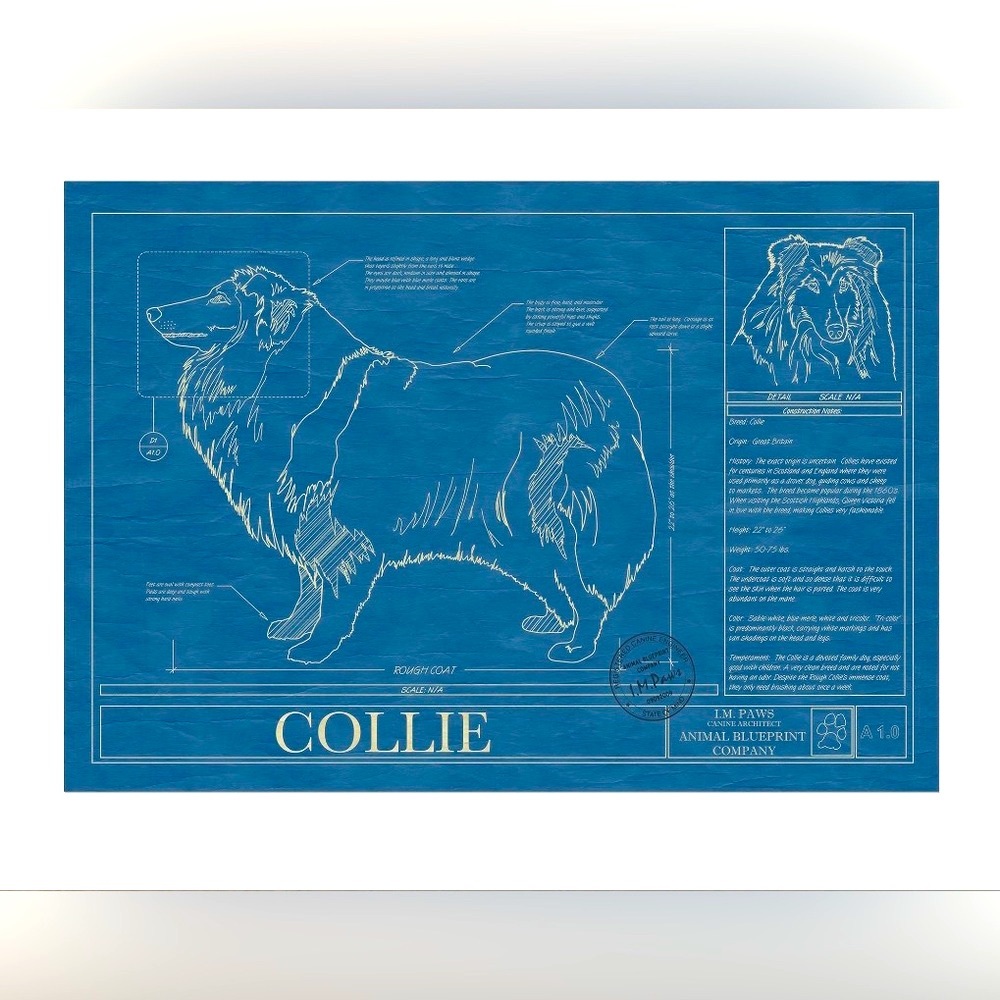 Collie Blueprint Wall Art, NIP, Architectural-style blueprint